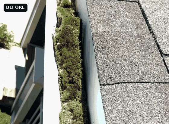 A gutter before and after a Shack Shine clean